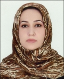 ملکی - بهار
