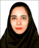 ایوبی - پگاه