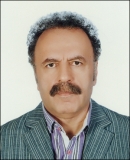 میرمحمد صادقی - محسن